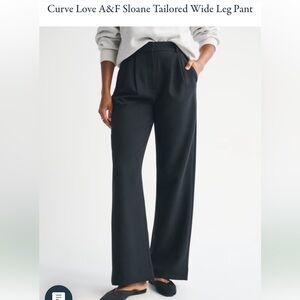 A&F Curve Love Sloane Tailored Wide Leg Pants (Short Length)